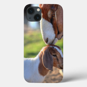 Mother goat kissing her baby on head. iPhone 13 case