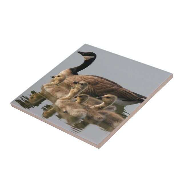 Mother Goose and Her Goslings Ceramic Tile (Side)
