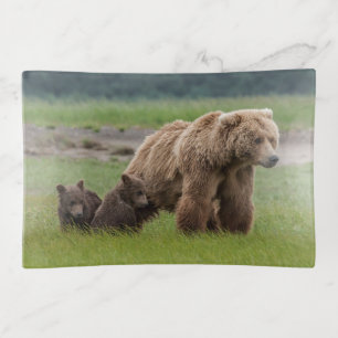 Mother Grizzly Bear with Twin Cubs Trinket Tray