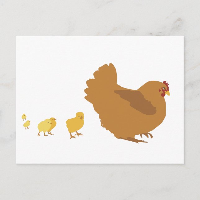Mother Hen and Chicks Postcard (Front)