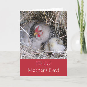 Mother Hen with New Chicks Greeting Card