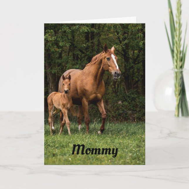 Mother Horse And Colt  Card (Front)
