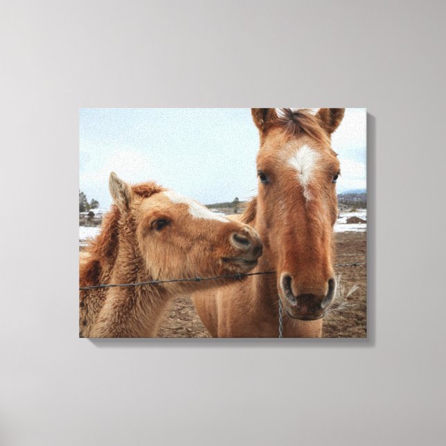 Mother Horse and Foal Canvas Print (Front)