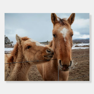 Mother Horse and Foal Foam Board