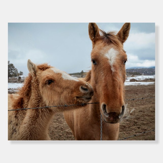 Mother Horse and Foal Foam Board (Front)