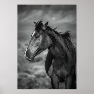 mother horse poster