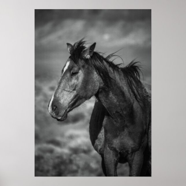 mother horse poster (Front)