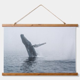 Mother Humpback Whale