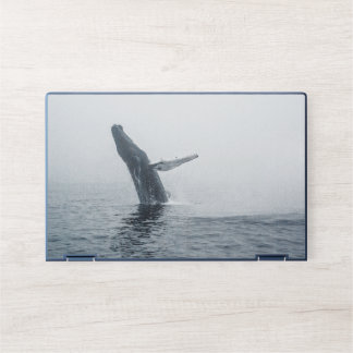 Mother Humpback Whale HP Laptop Skin