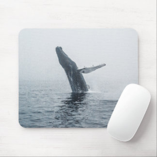 Mother Humpback Whale Mouse Pad