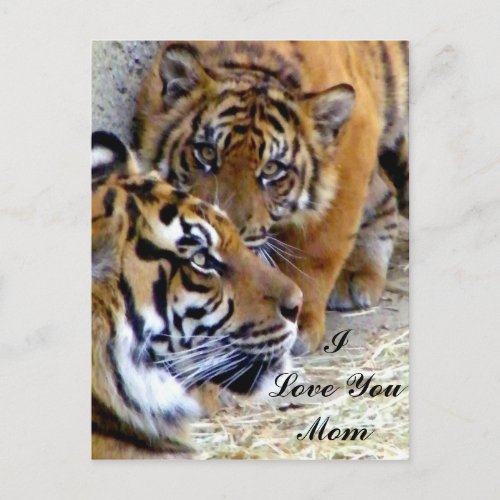 Mother I love you mom_ Postcard