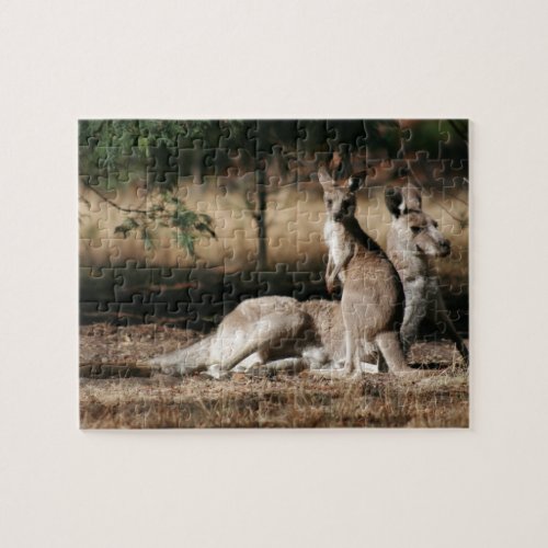 Mother Kangaroo and Joey Relaxing Jigsaw Puzzle