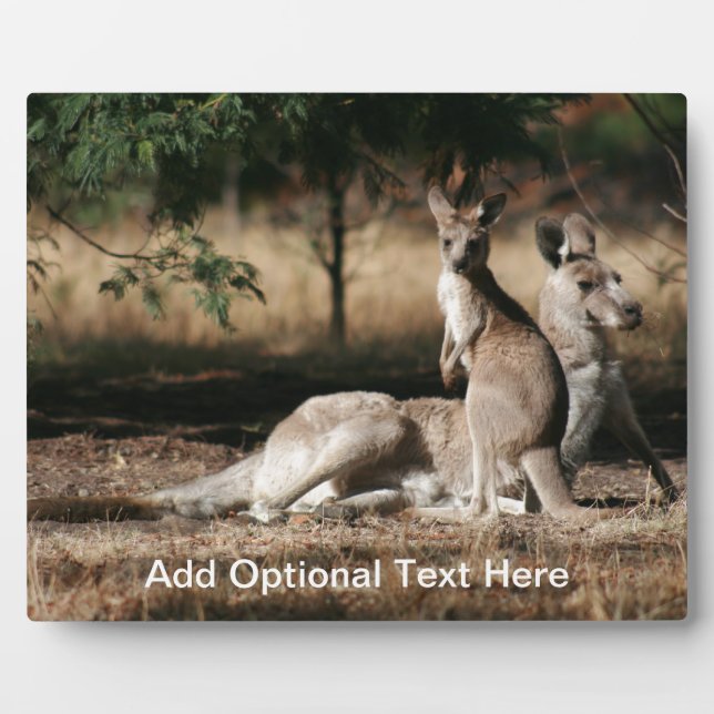 Mother Kangaroo and Joey Relaxing Plaque (Front)