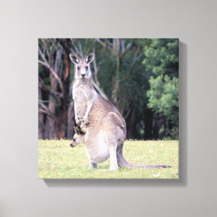 Mother Kangaroo with Baby Joey in Her Pouch Canvas Print