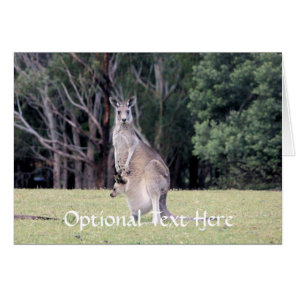 Mother Kangaroo with Baby Joey in Her Pouch Cards