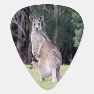Mother Kangaroo with Baby Joey in Her Pouch Guitar Pick