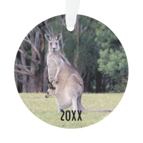 Mother Kangaroo with Baby Joey in Her Pouch Ornament