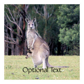 Mother Kangaroo with Baby Joey in Her Pouch Poster