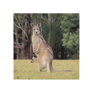 Mother Kangaroo with Baby Joey in Her Pouch Wood Wall Decor