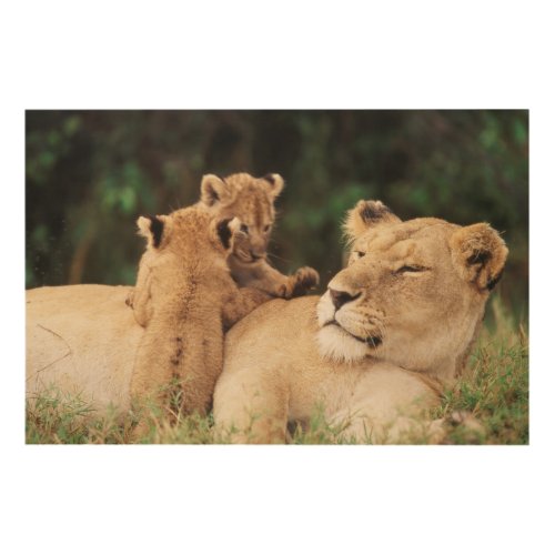 Mother lion with cubs wood wall art