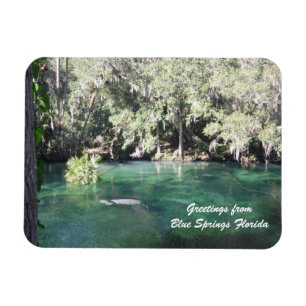 Mother Manatee with calf Blue Springs Personalize Magnet