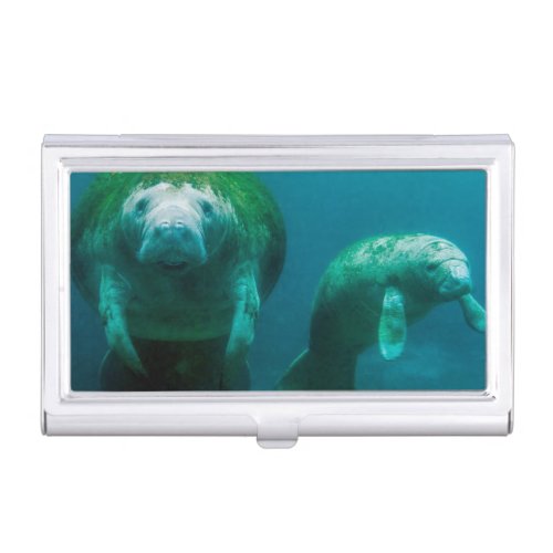 Mother manatee with her calf in Crystal River Business Card Holder