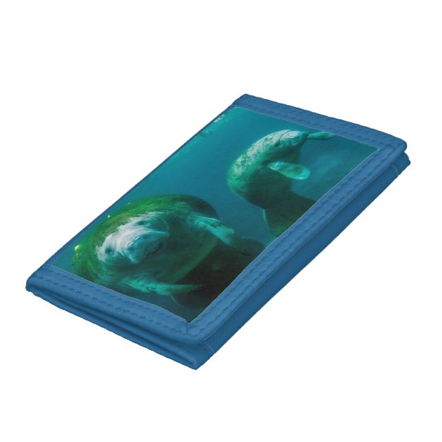 Mother manatee with her calf in Crystal River Trifold Wallet (Bottom)