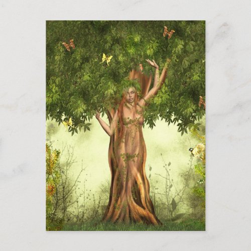 Mother Nature Tree Postcard