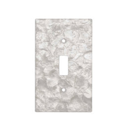 Mother of Pearl Light Switch