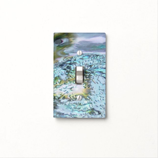 Mother of Pearl Light Switch Cover (In Situ)