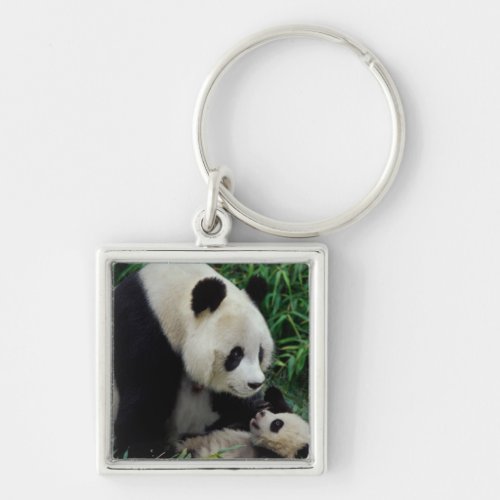 Mother panda and baby in the bamboo bush Wolong Keychain