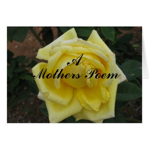 Mother Poem and Rose