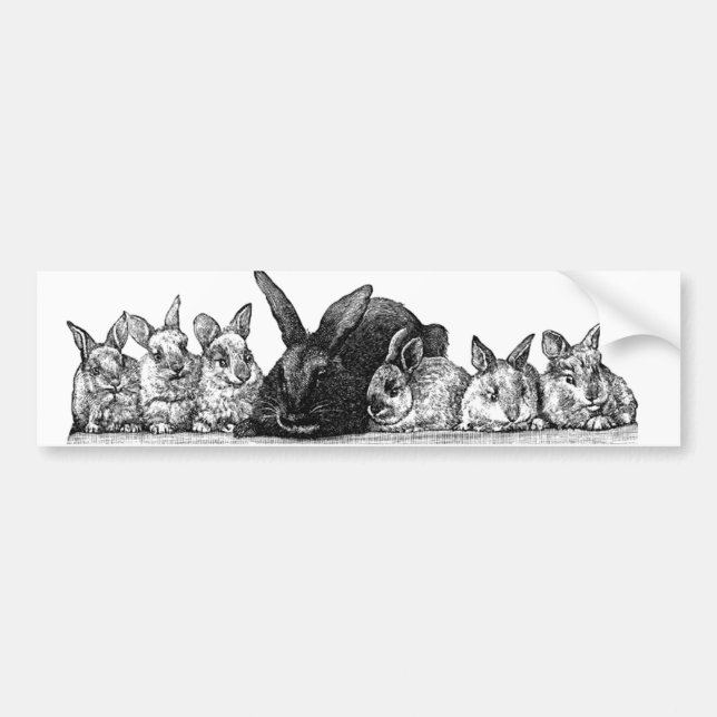 Mother rabbit and babies bumper sticker (Front)
