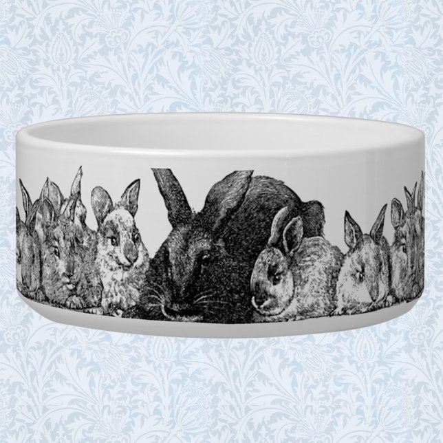 mother rabbits and babies bowl (Creator Uploaded)