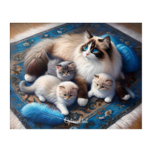 Mother Ragdoll Cat and Kittens Acrylic Print