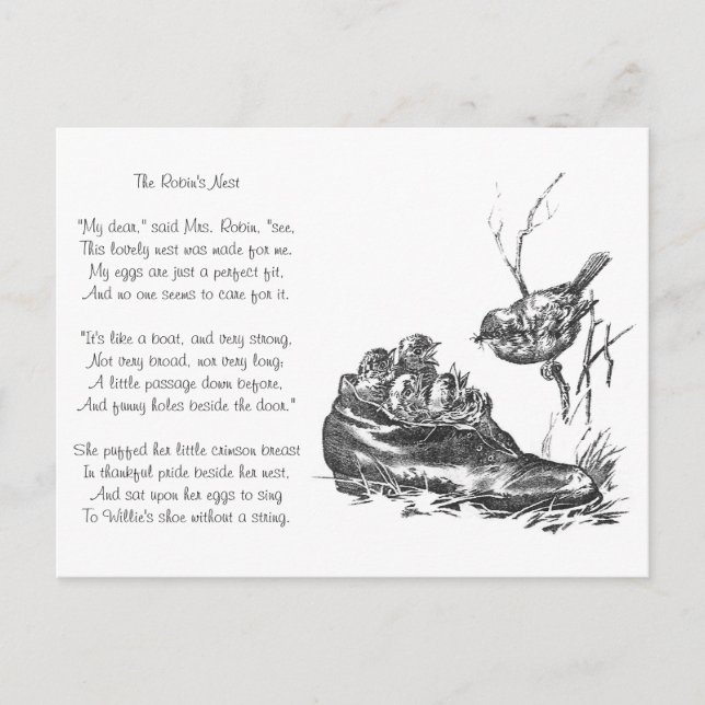 Mother Robin and Her Babies in a Shoe Postcard (Front)