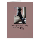 Mother’s Day Thanks From Dog Watching Out Window (Front)