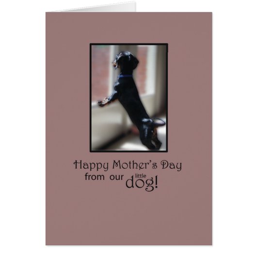 Mother’s Day Thanks From Dog Watching Out Window (Front)