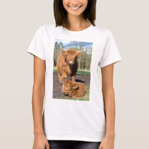 Mother scottish highlander cow near newborn calf T-Shirt