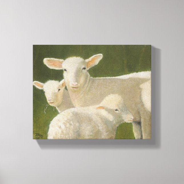 Mother Sheep Canvas Print (Front)