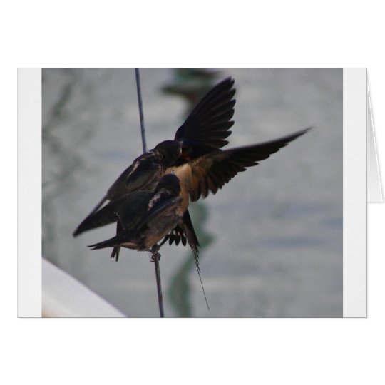 Mother swallow card