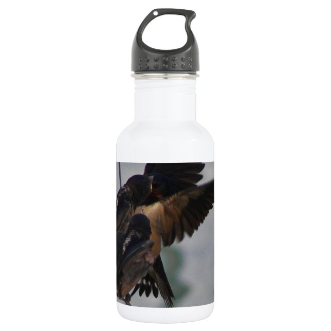 Mother swallow stainless steel water bottle (Front)