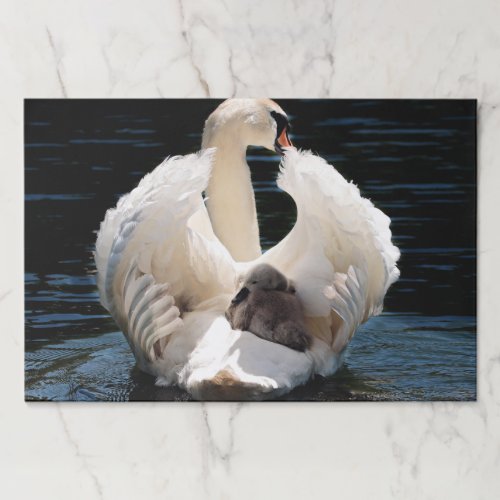 Mother Swan with Cygnets baby swans Paper Pad