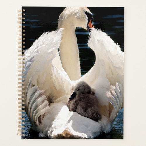 Mother Swan with Cygnets baby swans Planner