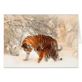 Mother Tiger and Cub in the Snowy Woods (Front Horizontal)