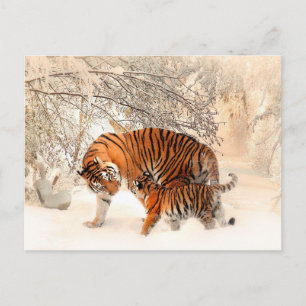 Mother Tiger and Cub in the Snowy Woods Postcard