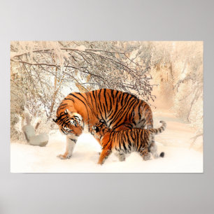 Mother Tiger and Cub in the Snowy Woods Poster