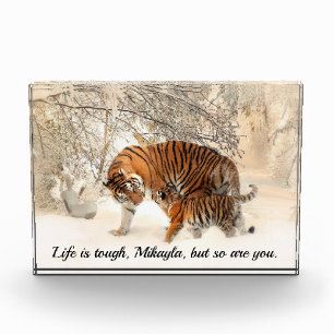 Mother Tiger and Cub Inspiring Quote Photo Block
