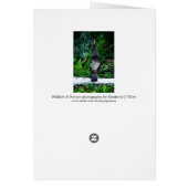 Mother Turkey Card (Back)