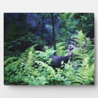 Mother Turkey in Ferns Plaque